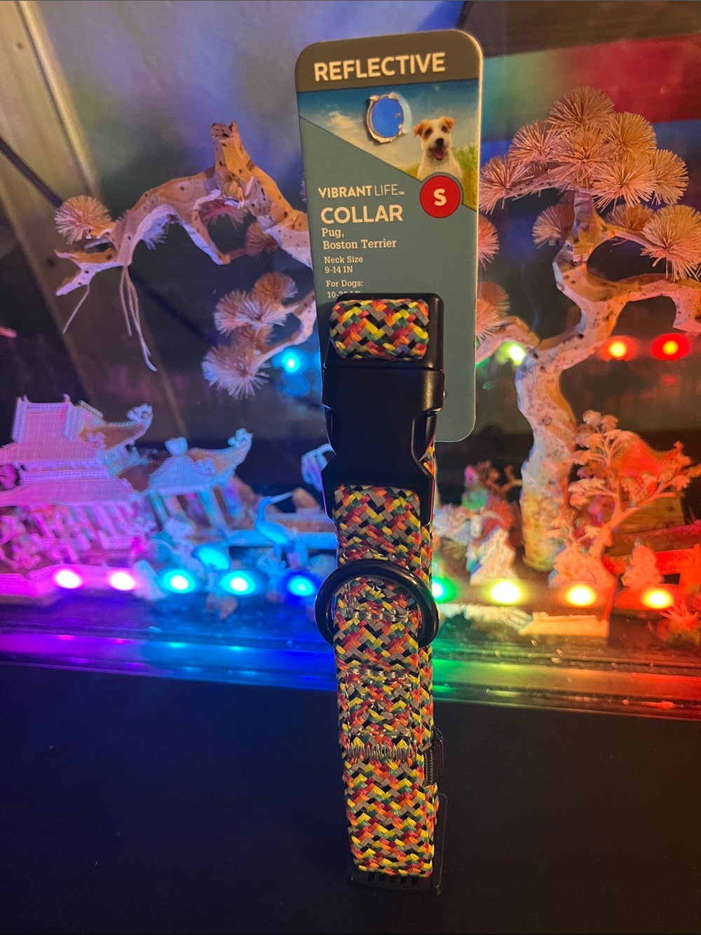 Vibrant Multicolor Reflective dog Collar - Neon Weave
